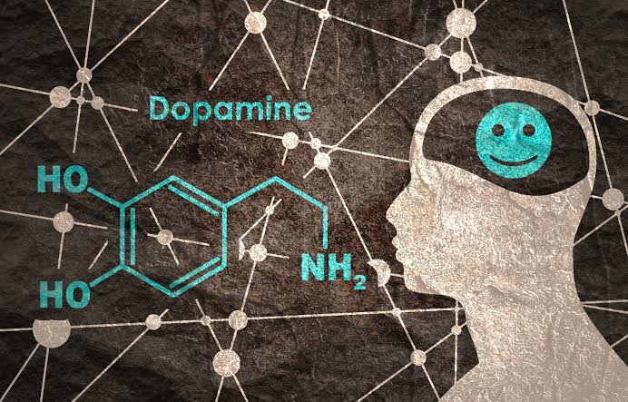 Bioglutide NA-931 DopamineDopamine | Shaanxi BLOOM Tech Co., Ltd