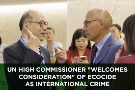 UN High Commissioner "welcomes consideration" of ecocide as international  crime — Stop Ecocide International