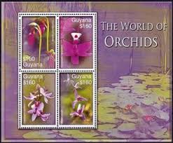 Maybe you would like to learn more about one of these? Mini Sheet Various Orchids Guyana 2007 Touchstamps