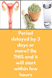 Pin On Menstruation