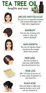 Tea Tree Oil For Healthy Hair The Little Shine Tea Tree Oil Benefits Tea Tree Oil Hair Tea Tree Oil For Acne