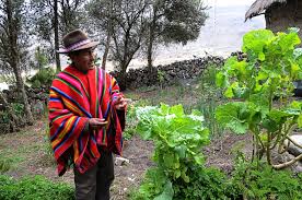 They are members of the mollo culture and are direct descendants of tiwanaku culture. Fotos Caminando Entre Kallawayas Planeta Futuro El Pais