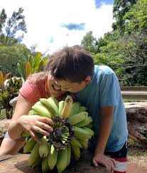 Katya Mueller-Artist