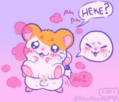 Wet hamster