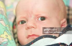 132 Fergus Location Stock Photos, High-Res Pictures, and Images