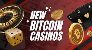 New Bitcoin Casinos 2025: 10 Newest Crypto Casino Sites - Crypto Daily
