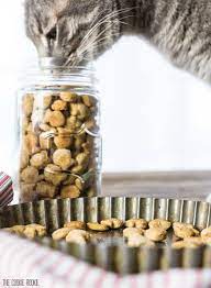 Every ingredient in our salmon cat treats recipe can be swapped out for another. Homemade Cat Treats Recipe 3 Ingredient Salmon Cat Treats