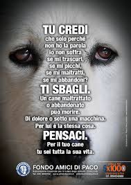 Questi sono i diversi soggetti per la nuova campagna del #FondoAmicidiPaco  TU CREDI... TI SBAGLI. Quale preferite? Scrivete il vostro commento al link  https://www.dianalanciotti.it/tu-credi-ti-sbagli-scegliete/ Gli autori dei  3 commenti che piaceranno di