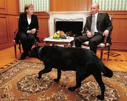 The german chancellor also is provided use of an official residence at the german chancellery. Angela Merkel The Chancellor Next Door Vogue