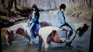 She also has strict policies about grooming before and after the ride. How To Lease A Horse Plus Pros And Cons Pethelpful