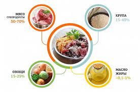 chem kormit sobaku kak pravilno i luchshe v domashnih usloviyah na naturalke skolko raz v den kormlenie sobak estestvennoj naturalnoj pishej menyu na nedelyu