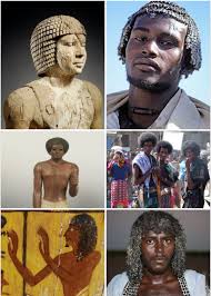 A Study Of Hair Texture In Ancient Egypt Black History Education History African History