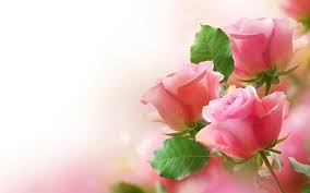 We have an extensive collection of amazing background images carefully chosen by our community. Roses Wallpapers For Desktop Wallpaper Cave