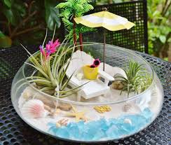 O So So Cute Love This Little Beach Oasis This Terrarium Kit Will Def Terrariums Kits Beach Crafts Air Plant Terrarium