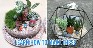 The cool thing is you can use whatever cacti and succulents you want and even vary with your glass terrariums. 8 Terrarium Workshops In Singapore For You To Diy Your Own Low Maintenance Mini Gardens