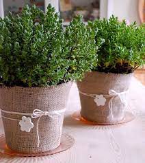 Secure it with a rubber band and then cover the rubber band with ribbon. Pin On Crafts