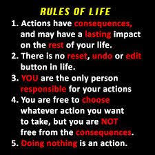 Pin On That S Life