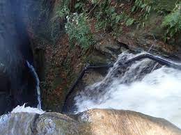 We did not find results for: 8 Questions With Answers In Maori Science Topic