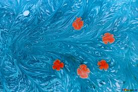 A collection of the top 43 red white and blue wallpapers and backgrounds available for download for free. Drawing On The Water Ebru Image 5 Red Dots On Blue Background Flowers Background Images Water 50942 Torange Biz Free Pics On Cc By License