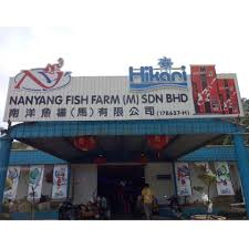 Indoor and outdoor, display equipment see more of nanyang art studio sdn. Nanyang Fishfarm M Sdn Bhd Photos Facebook