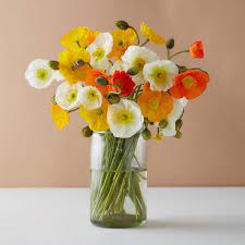 Fresh Poppy Bunch Flower Arrangements Floral Arrangements Poppy Bouquet