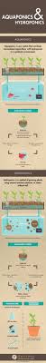 There Are Many Different Type Of Aquaponics Systems These Include Media Based Nft Nutrient Flow Techinque And Dwc Deep Idroponica Acquaponica Giardinaggio