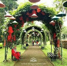 Mulai dari wisata budaya, wisata alam hingga kini. Grantnsaipan Gambar Taman Bunga Cipanas Cianjur