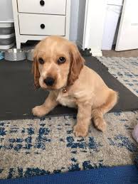 Poor little darling 😁😂💜🤣