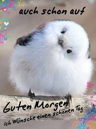 Pin Von Cassi Kraeftig Auf Spruche In 2020 Liebe Guten Morgen Grusse Guten Morgen Guten Morgen Gruss