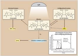 Kernicterus is a type of brain damage that occurs when a baby has jaundice and is not treated. A Comprehensive Study Over The Jaundice Causes And Effects On Newborns And Reviewing The Treatment Effects Medcrave Online