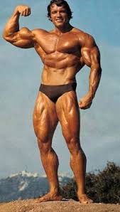 Maybe you would like to learn more about one of these? Arnold Schwarzenegger Bodybuilding Poster Hd Wallpaper Background Fine Art Paper Fine Art Print Movies Posters In India Buy Art Film Design Movie Music Nature And Educational Paintings Wallpapers At Flipkart Com