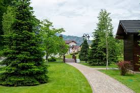 16,857 likes · 261 talking about this · 2,145 were here. AtracÈii Turistice CÄlimÄneÈti CÄciulata Valcea TuristicÄ