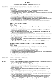 Director of operations job description | glassdoor posted: Service Operations Manager Resume Samples Velvet Jobs