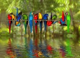 متن جایگزین