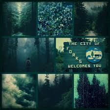 Travel to forks, washington to see the actual town where author stephenie meyer based her twilight saga novels. Twilight Blog The Twilight Saga Forks Washington In The