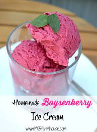 Homemade Boysenberry Ice Cream Recipe Ice Cream Desserts Cream