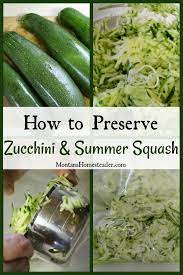 How to preserve zucchini from the garden. How To Preserve Zucchini And Summer Squash