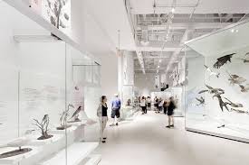 Glassy Renovation Brings Natural Light Into Canadian Museum Of Nature Nature Museum Museum Design Museum
