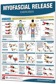 24 x 36 laminated fitness poster wall chart foam roller