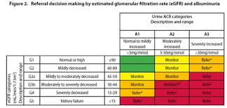 Chronic Kidney Disease Identification Evaluation And