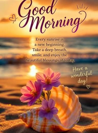 Good morning, Every sunrise brings a new chance to shine.