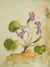 Image result for Racehorse Apostle trained by Staff Ingham