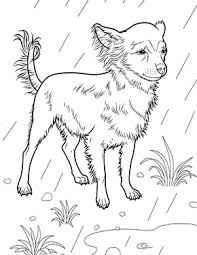 Ausmalbild Chihuahua In 2020 Malvorlagen Ausmalbilder Hunde Chihuahua