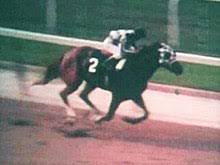 1973 Belmont Stakes Wikipedia