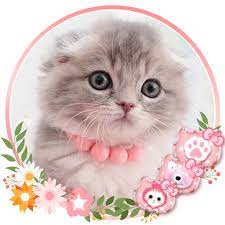 Nah, karena hal itulah kami telah merangkum koleksi terbaik seputar pink gambar kartun kucing lucu untuk wallpaper hp yang bisa kalian jadikan inspirasi. Cute Cat Live Launcher Theme 3d Wallpapers Apps I Google Play