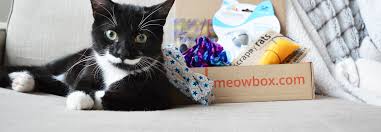 With a meowbox subscription, you'll receive a monthly cat box filled with toys and accessories as well as tasty natural treats sourced from canada or the u.s. Meowbox Subscription Box Business Matters Canada Post