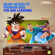 In our respective subscriptions, we always get that at some point. What To Do With The Kids Dstv Got The Answer