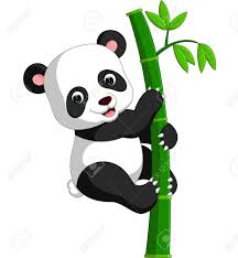 Mignon Dessin Anime Panda Panda Dessin Image Panda Dessin