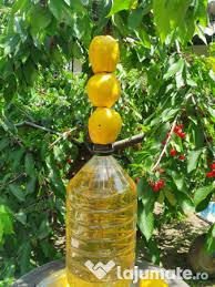 Explore more searches like tuica gutui. Palinca De Gutui Adroi Food