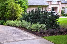 Check out our texas shrub selection for the very best in unique or custom, handmade pieces from our craft supplies & tools shops. Best Shrubs For Texas Lee Ann Torrans Gardening